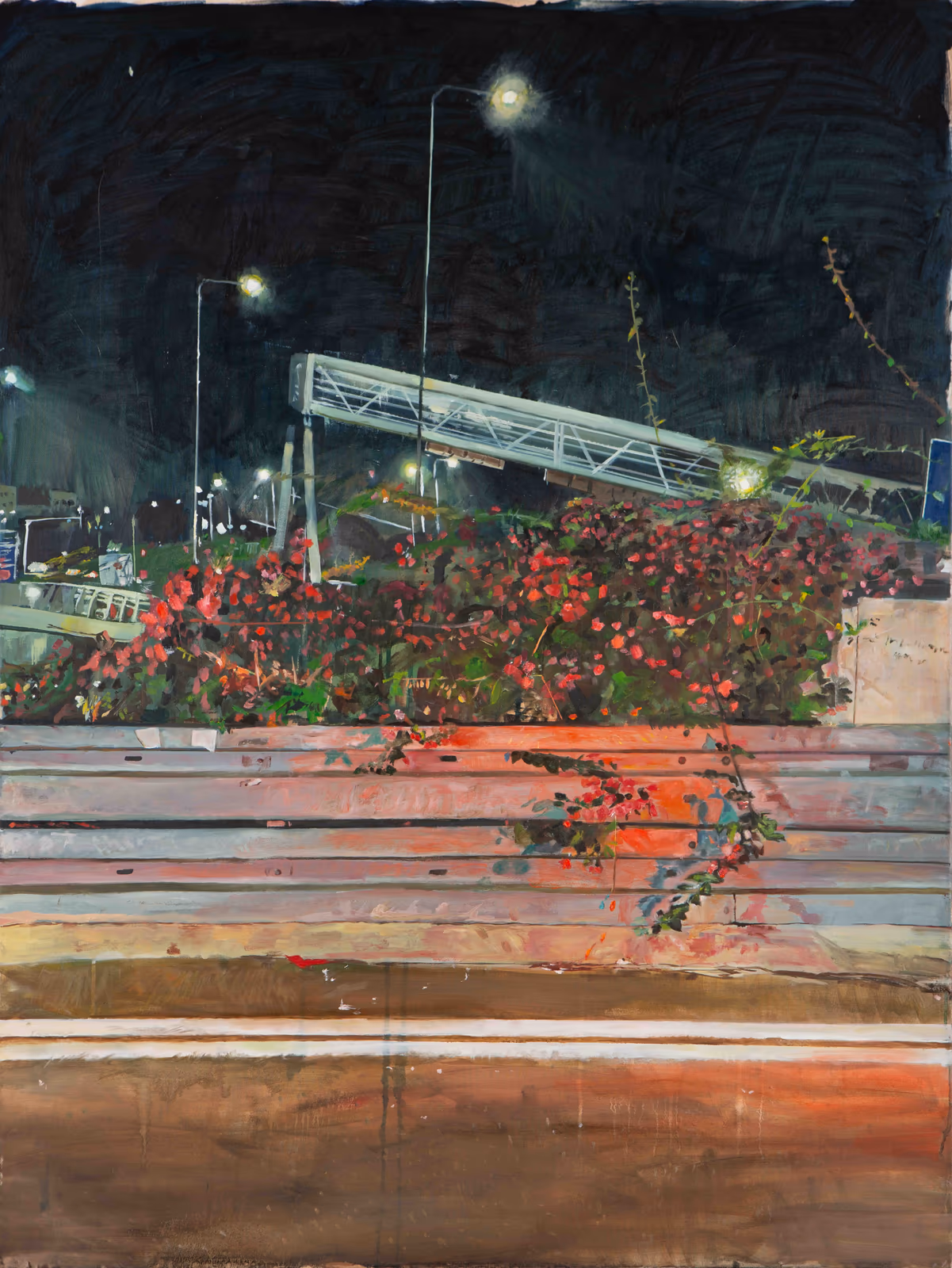Bougainvillea on a red light