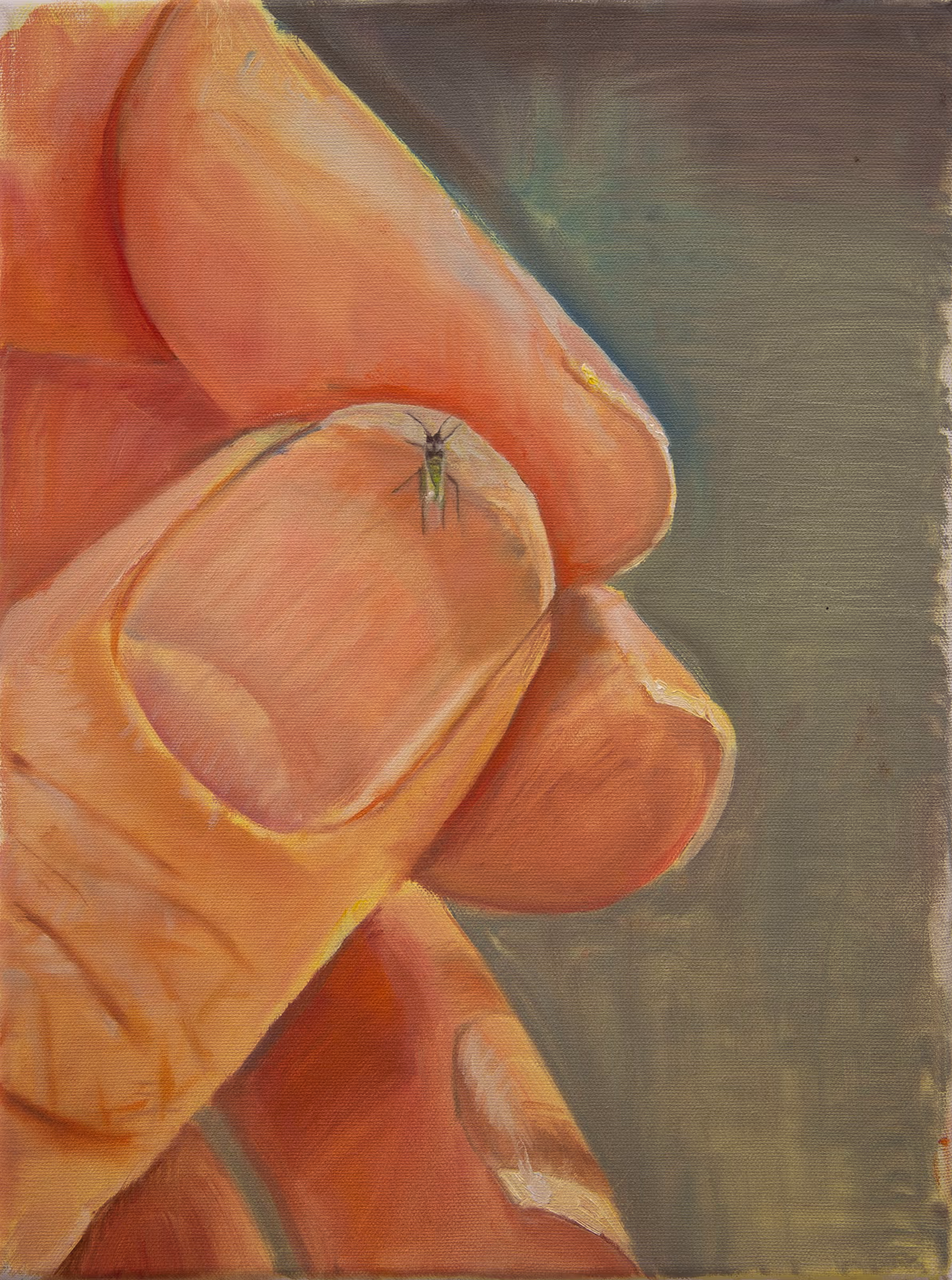 Bug