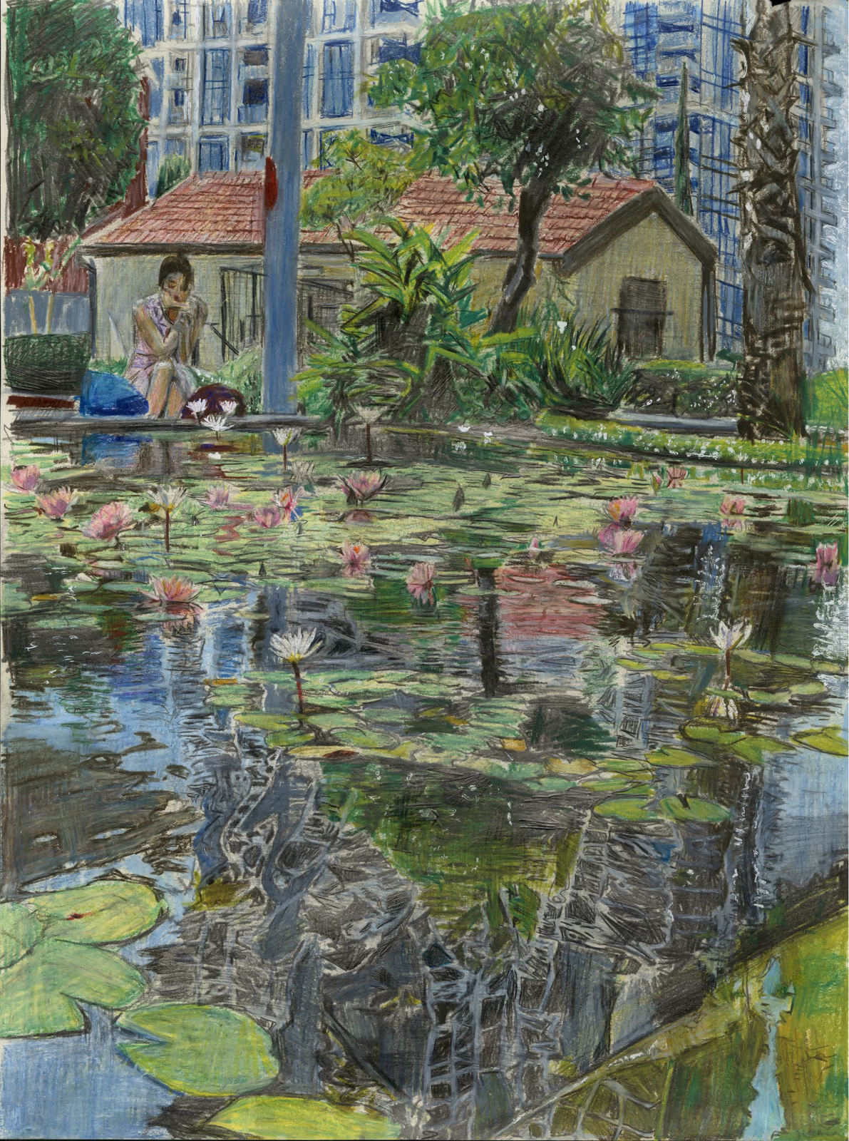 Water Lilies